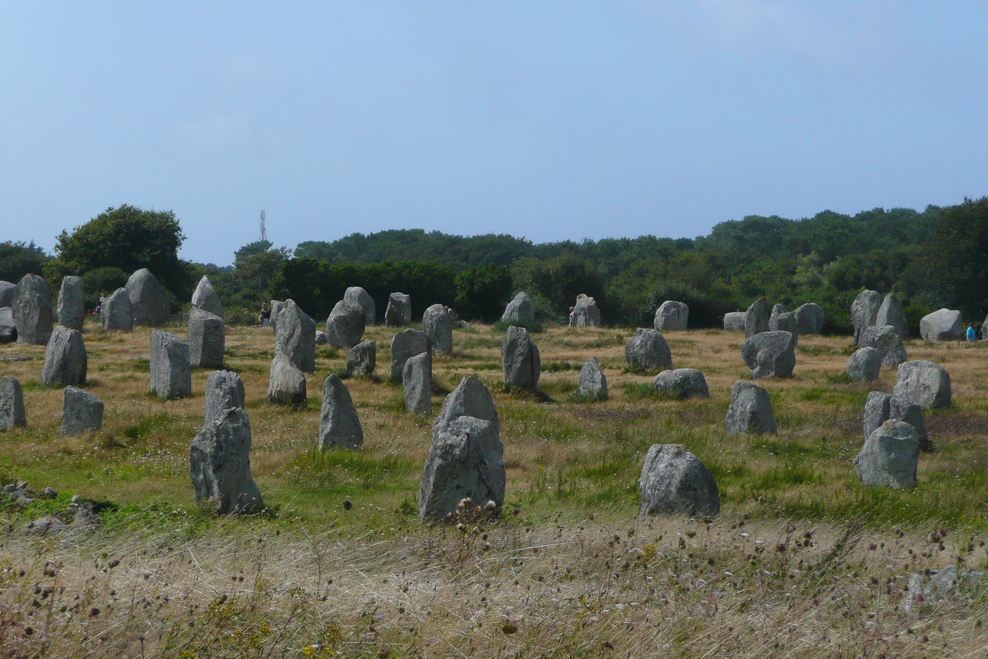 Picture France Carnac 2008-07 8 - Tours Carnac