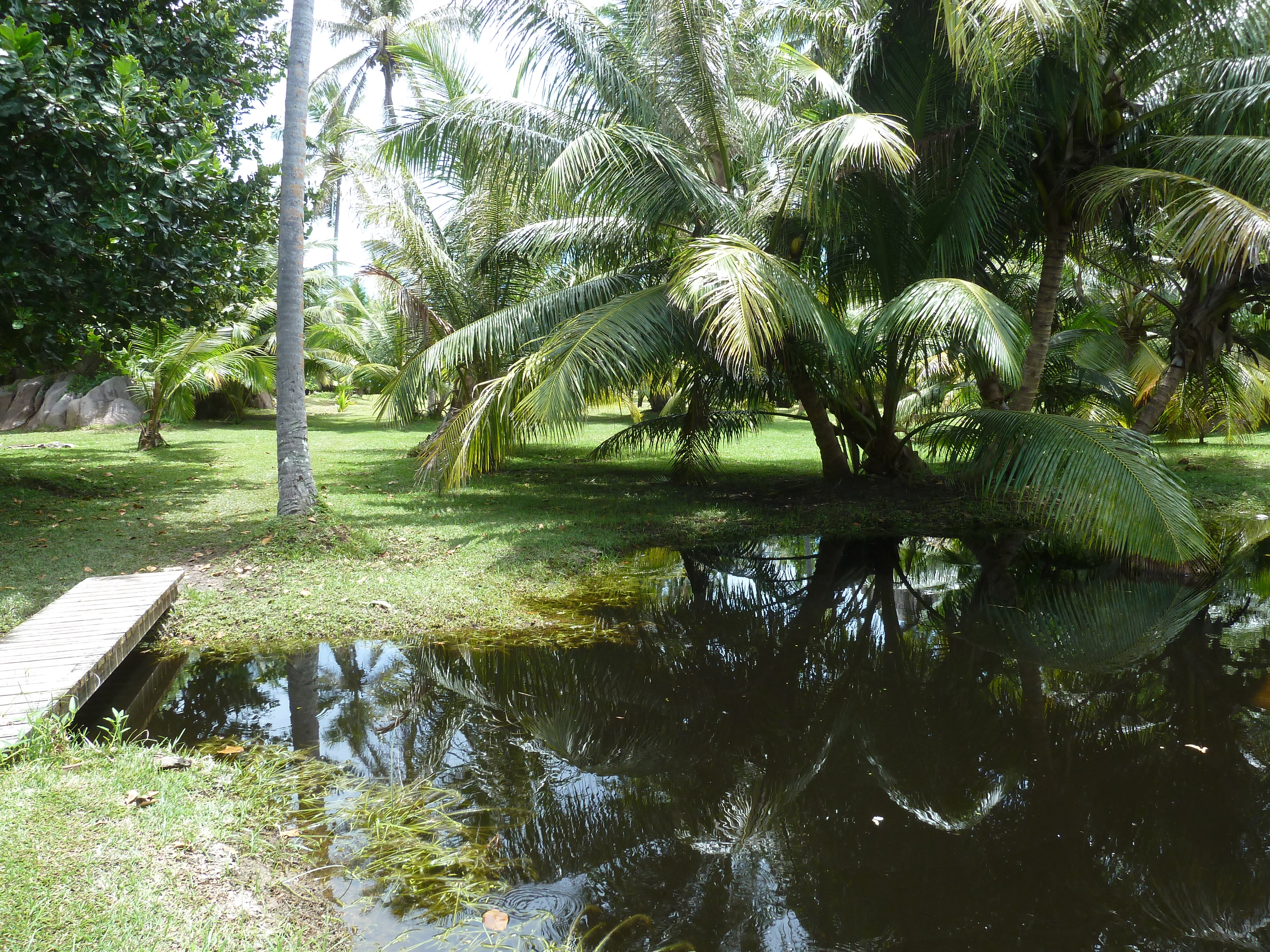 Picture Seychelles Grande Soeur 2011-10 15 - Tour Grande Soeur