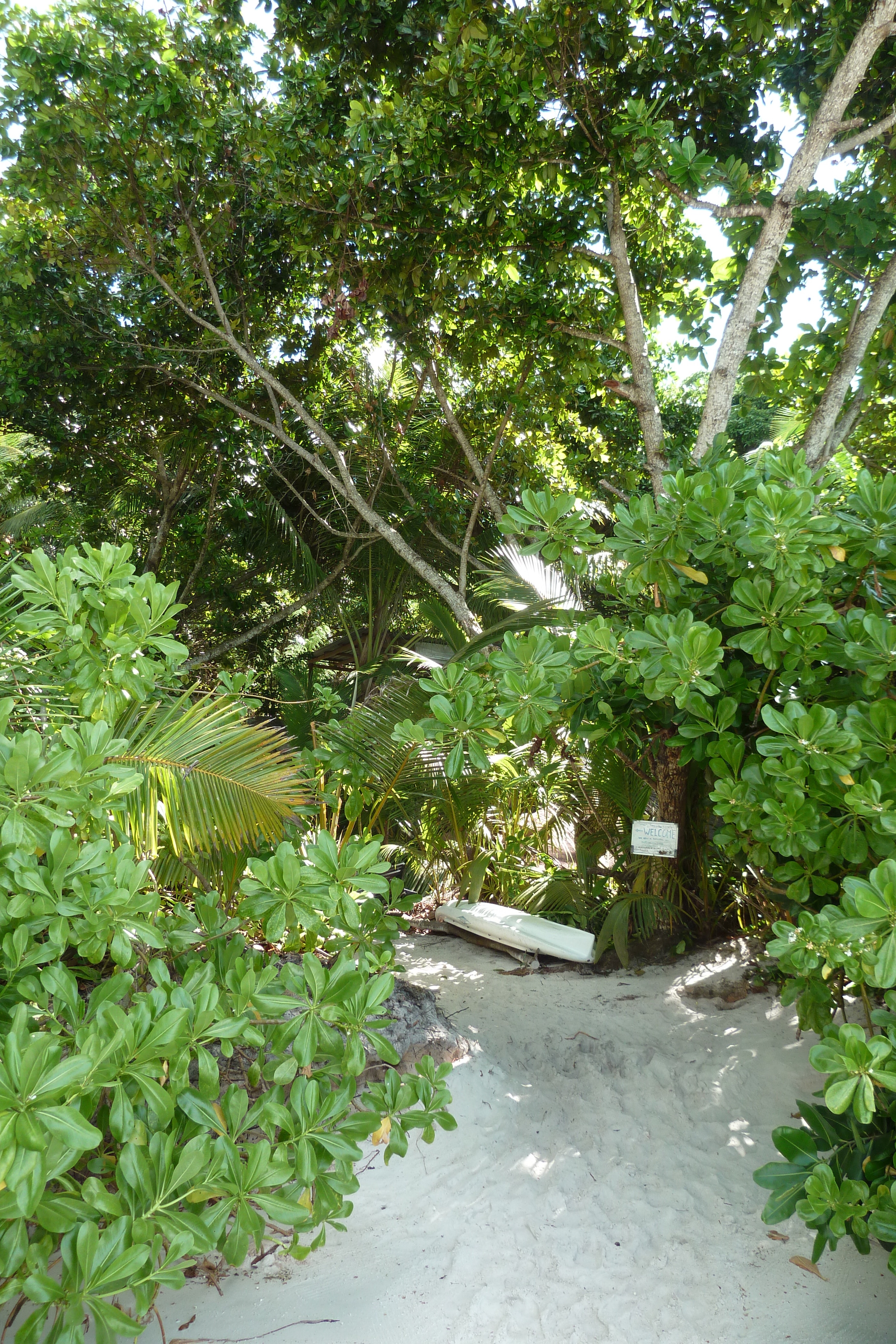 Picture Seychelles Anse Lazio 2011-10 90 - Journey Anse Lazio