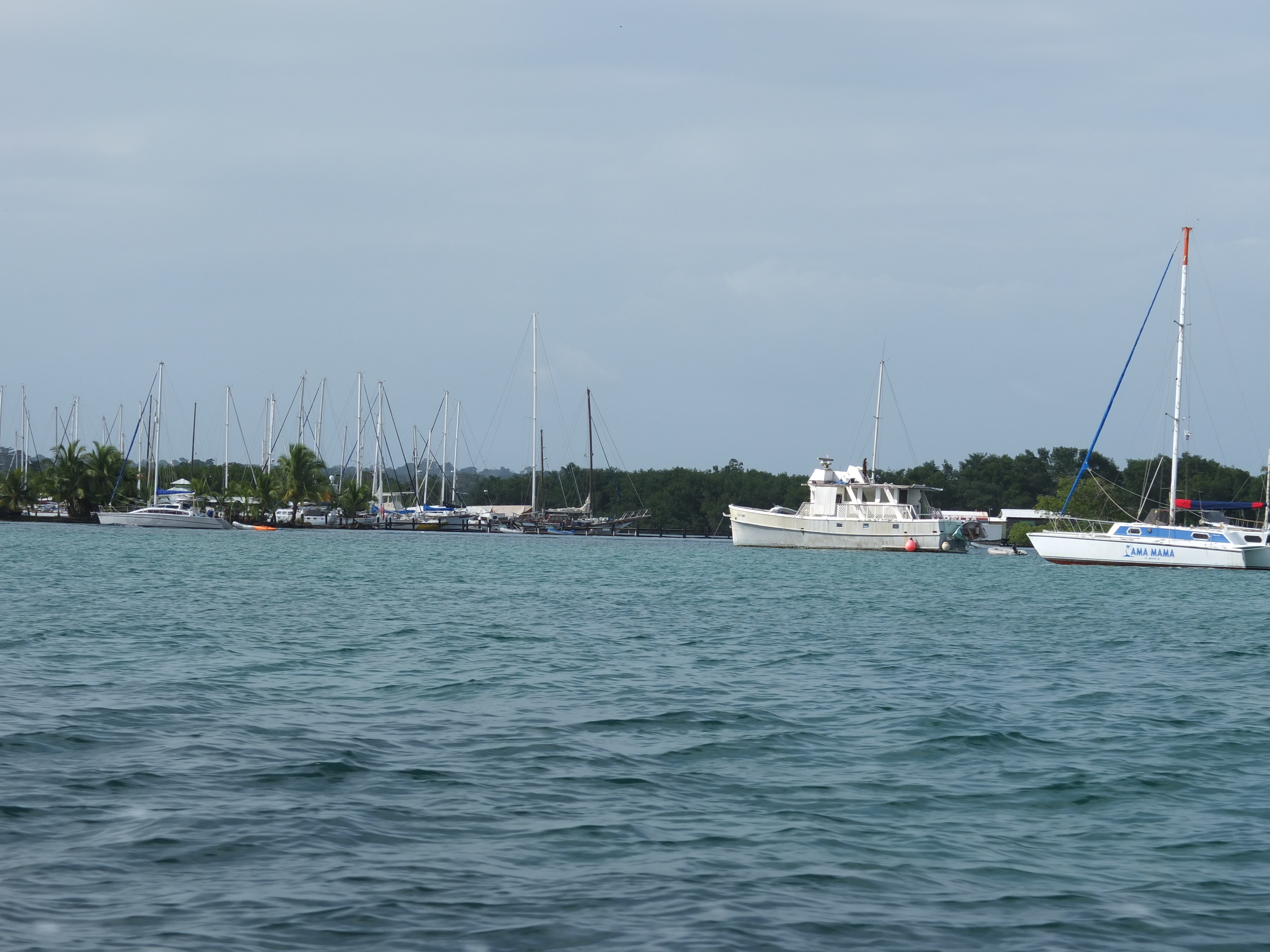 Picture Panama Bocas del toro 2015-03 65 - Center Bocas del toro