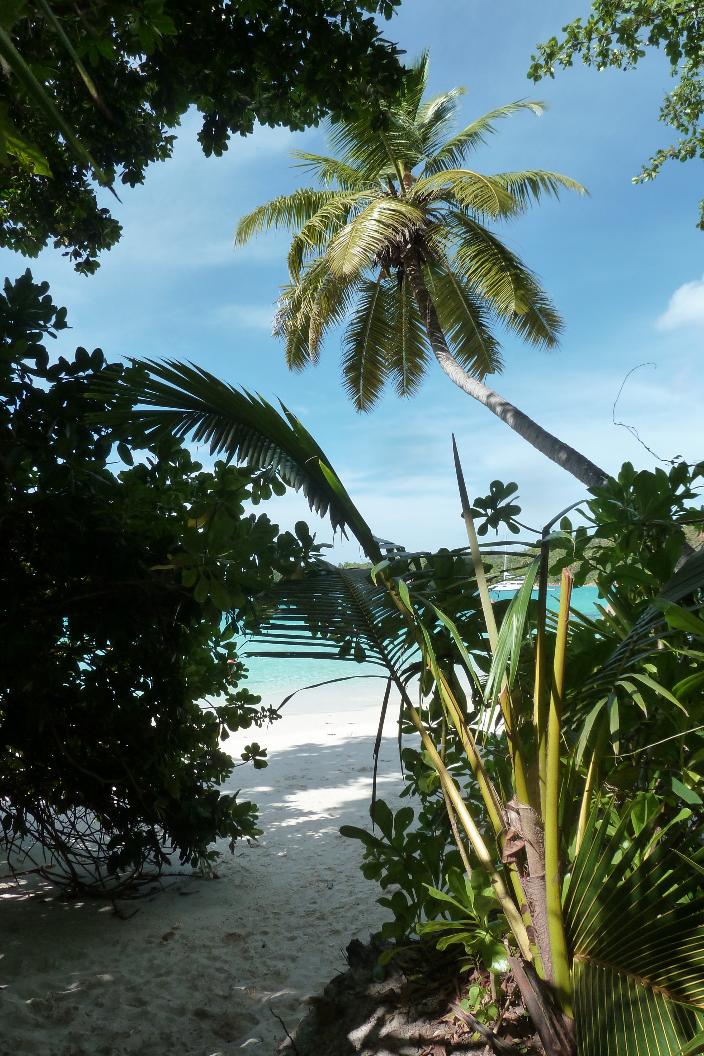 Picture Seychelles Anse Lazio 2011-10 61 - Tour Anse Lazio