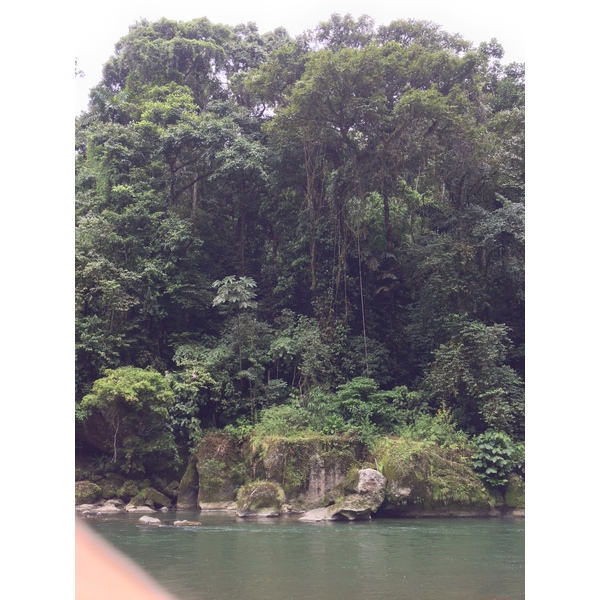 Picture Costa Rica Pacuare River 2015-03 45 - Around Pacuare River