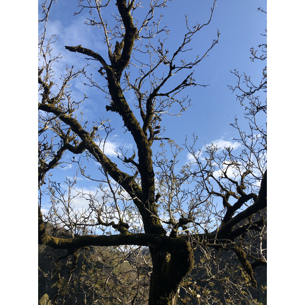 Picture France Conques 2018-04 85 - Around Conques