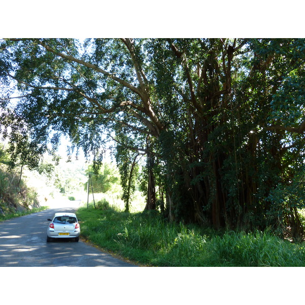 Picture New Caledonia Canala to La Foa road 2010-05 65 - Tour Canala to La Foa road