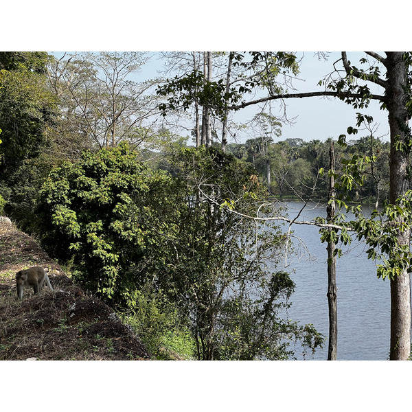 Picture Cambodia Siem Reap Angkor Thom 2023-01 12 - Tour Angkor Thom