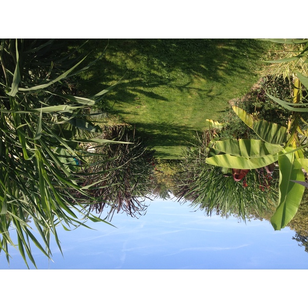 Picture France Paris Jardin des Plantes 2014-09 26 - History Jardin des Plantes