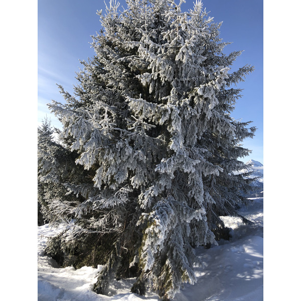 Picture France Praz sur Arly 2019-12 57 - Discovery Praz sur Arly