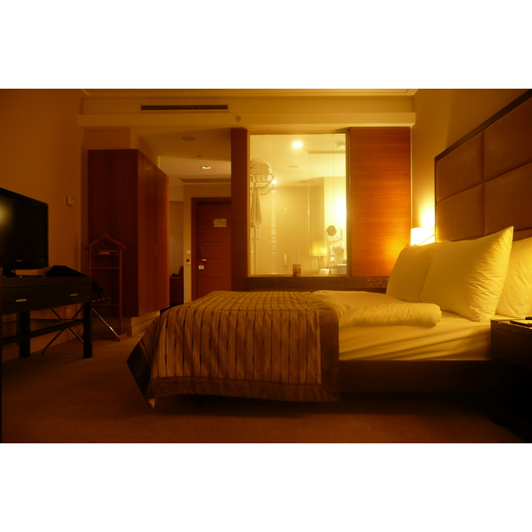 Picture Turkey Istanbul Movenpick Istanbul Hotel 2009-04 50 - History Movenpick Istanbul Hotel