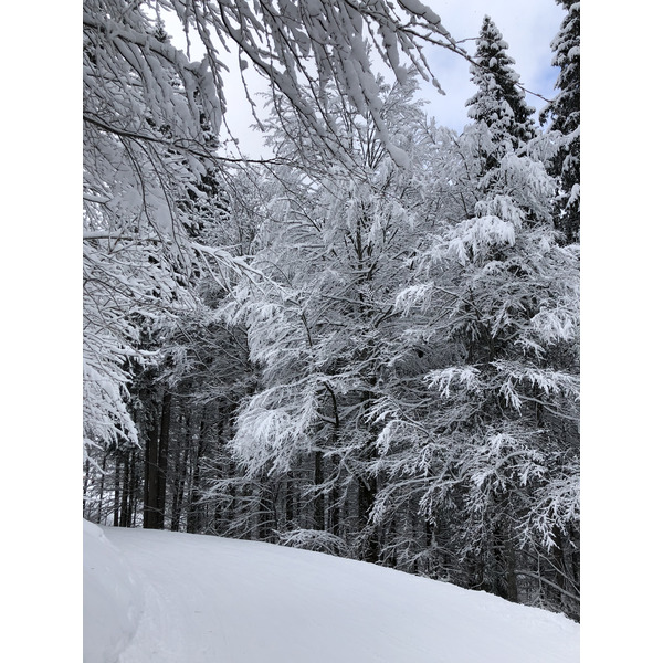 Picture France La Clusaz 2017-12 160 - Around La Clusaz