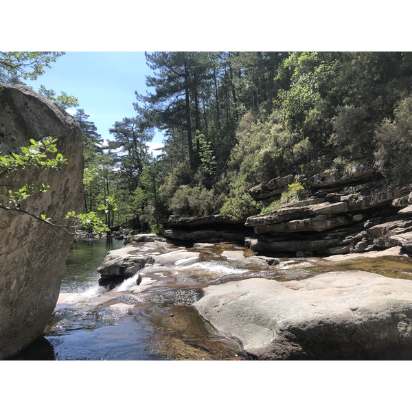 Picture France Corsica Aitone Forest 2021-06 42 - Around Aitone Forest