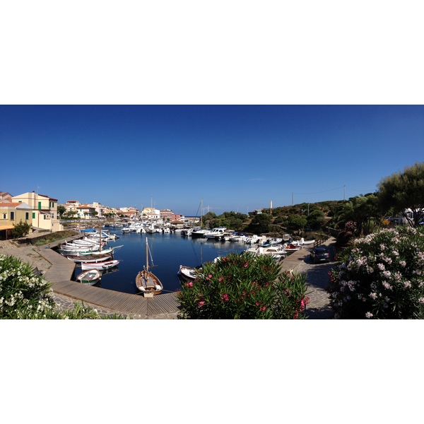 Picture Italy Sardinia Capo del Falcone 2015-06 52 - Center Capo del Falcone