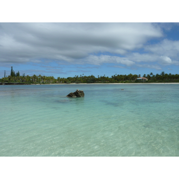 Picture New Caledonia Lifou Baie des tortues 2010-05 5 - Around Baie des tortues