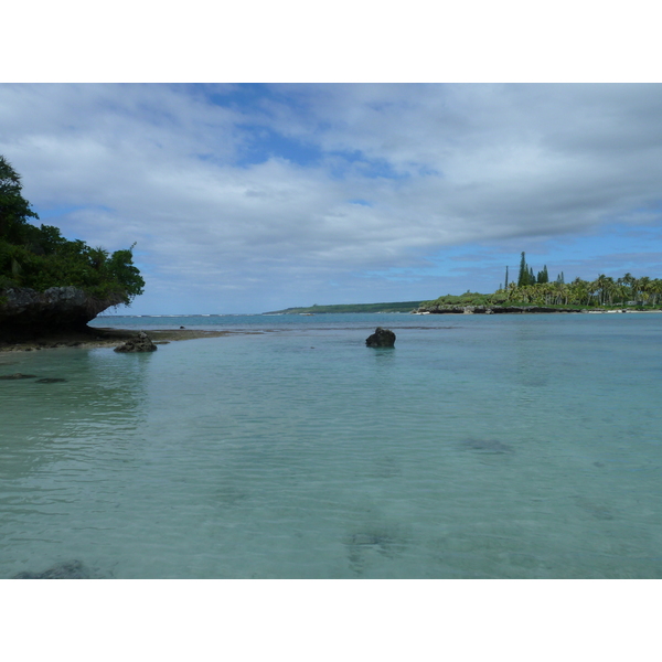 Picture New Caledonia Lifou Baie des tortues 2010-05 41 - Tours Baie des tortues