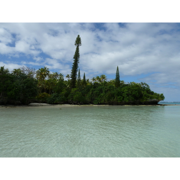 Picture New Caledonia Lifou Baie des tortues 2010-05 18 - Tours Baie des tortues