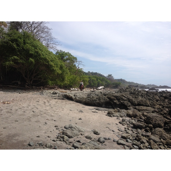 Picture Costa Rica Montezuma 2015-03 422 - Discovery Montezuma