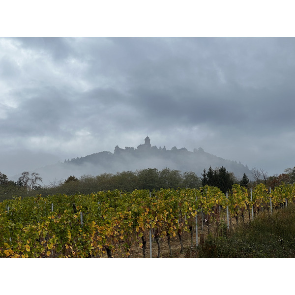 Picture France Koenigsbourg Castle 2023-10 20 - History Koenigsbourg Castle