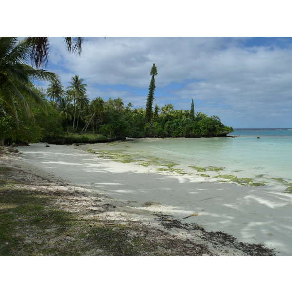 Picture New Caledonia Lifou Baie des tortues 2010-05 40 - Journey Baie des tortues