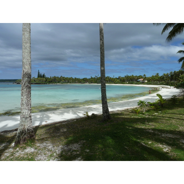 Picture New Caledonia Lifou Baie des tortues 2010-05 33 - Center Baie des tortues