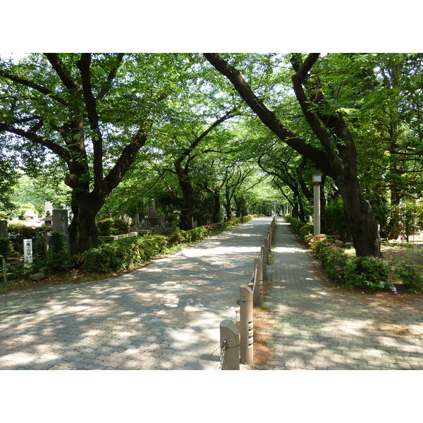 Picture Japan Tokyo Omotesando 2010-06 54 - Journey Omotesando