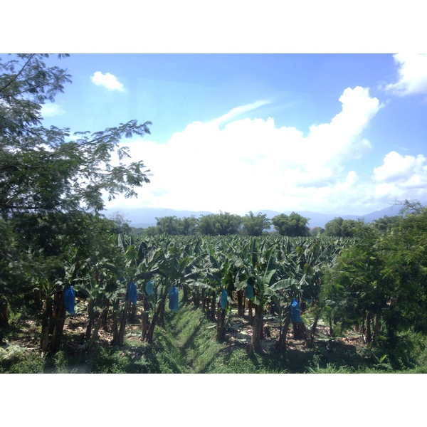 Picture Costa Rica Limon to Siquirres 2015-03 23 - Journey Limon to Siquirres