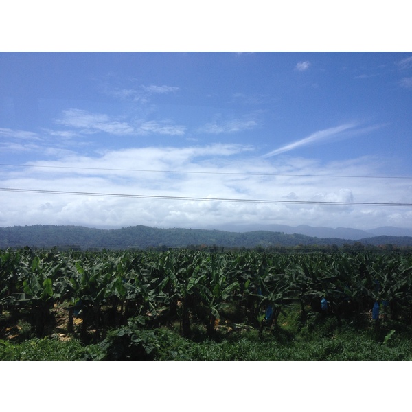 Picture Costa Rica Limon to Siquirres 2015-03 24 - Tours Limon to Siquirres