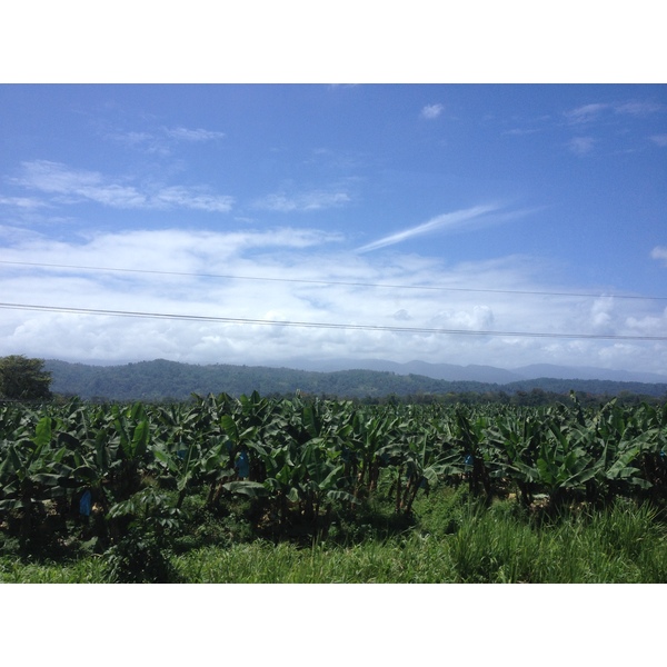 Picture Costa Rica Limon to Siquirres 2015-03 35 - History Limon to Siquirres