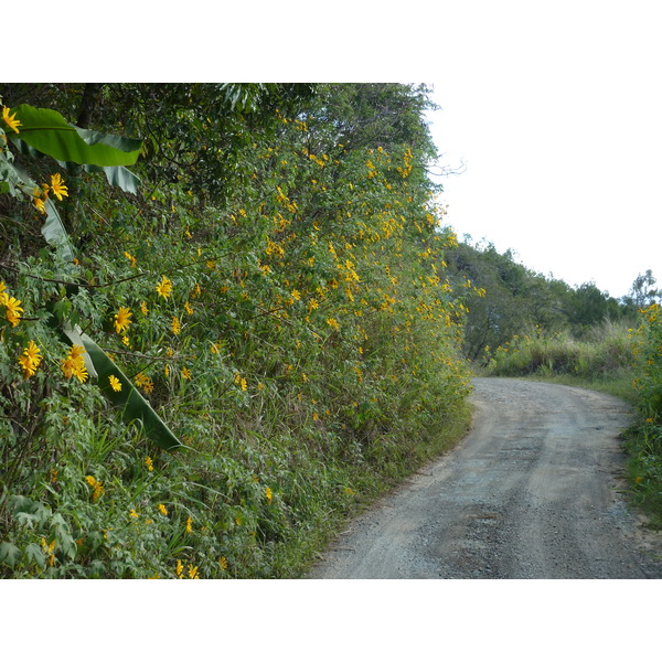 Picture New Caledonia Thio to Canala road 2010-05 65 - History Thio to Canala road