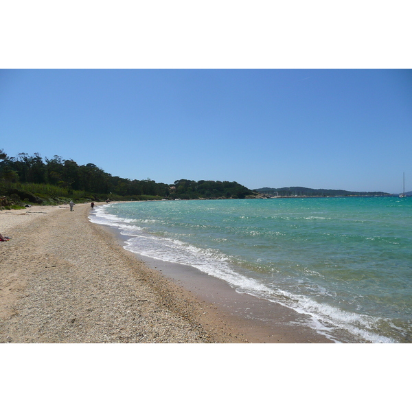 Picture France Porquerolles Island Courtade beach 2008-05 70 - Recreation Courtade beach