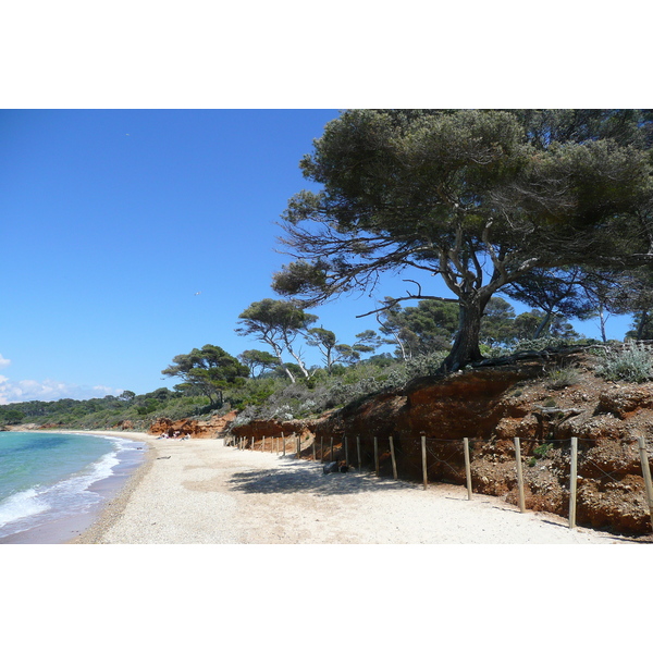 Picture France Porquerolles Island Courtade beach 2008-05 71 - Tours Courtade beach