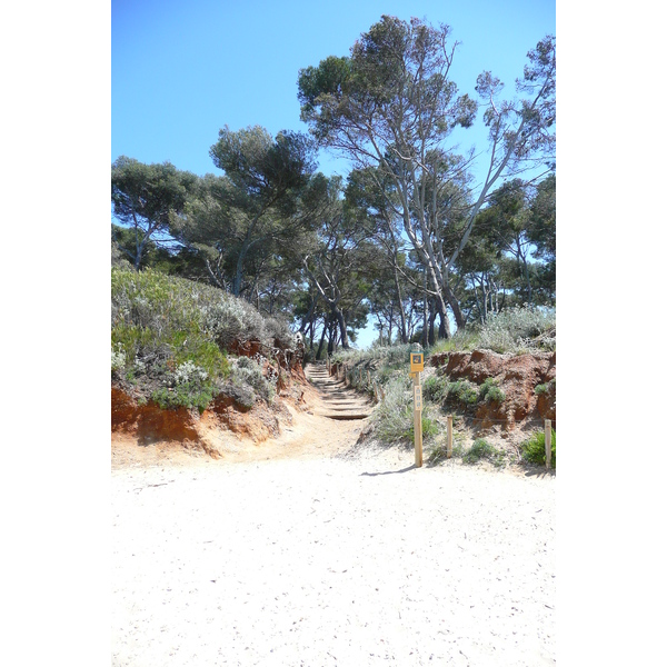 Picture France Porquerolles Island Courtade beach 2008-05 54 - Tour Courtade beach