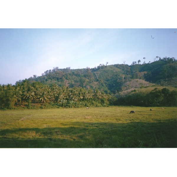 Picture Thailand Phuket 1994-02 3 - Around Phuket