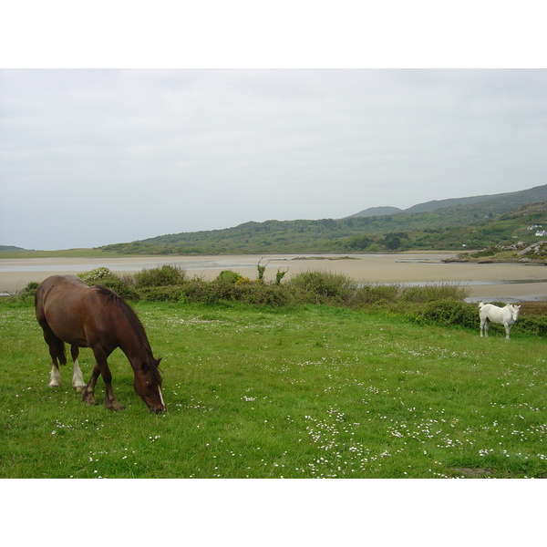 Picture Ireland Kerry Parknasilla 2004-05 27 - Journey Parknasilla