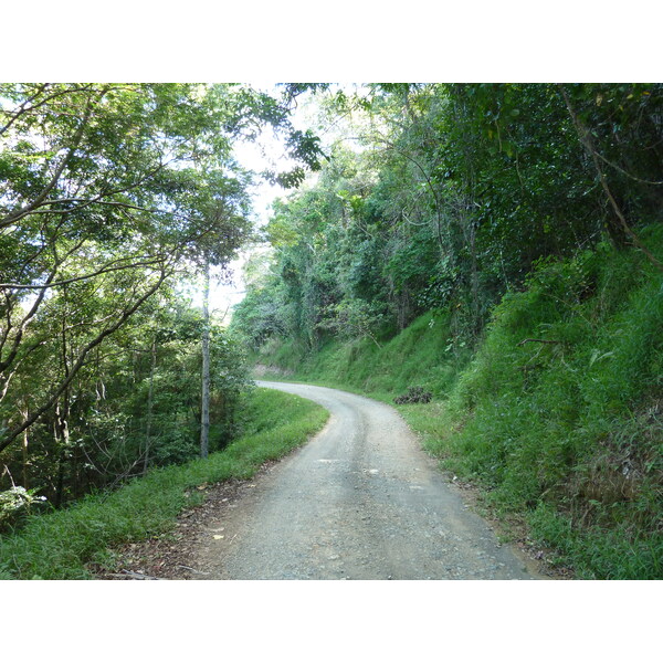 Picture New Caledonia Thio to Canala road 2010-05 59 - Around Thio to Canala road