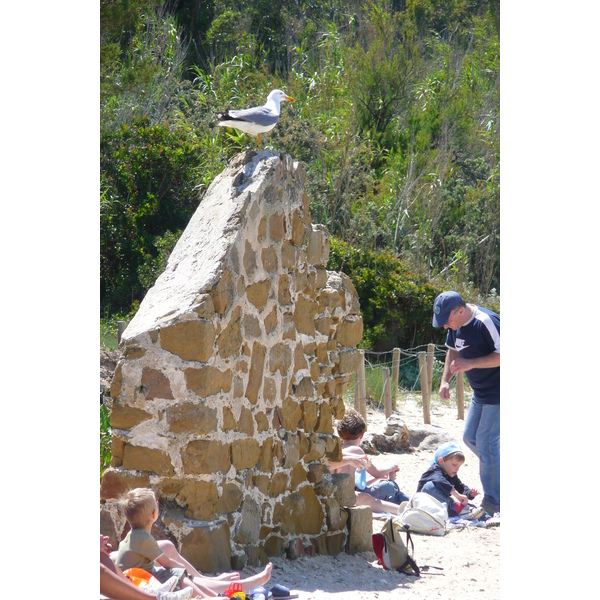 Picture France Porquerolles Island Courtade beach 2008-05 43 - History Courtade beach