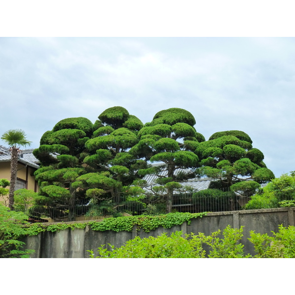 Picture Japan Kyoto 2010-06 45 - History Kyoto