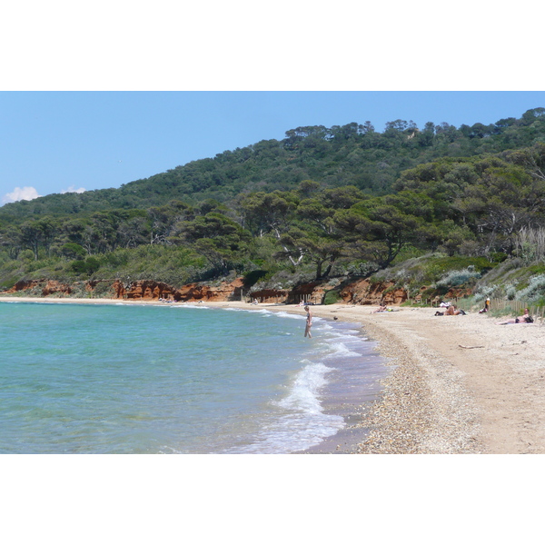 Picture France Porquerolles Island Courtade beach 2008-05 72 - Center Courtade beach