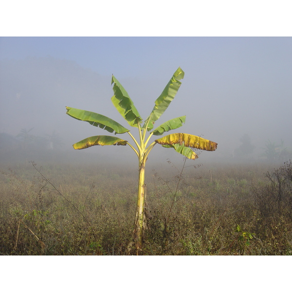 Picture Thailand Pang ma pha 2005-12 165 - Tours Pang ma pha