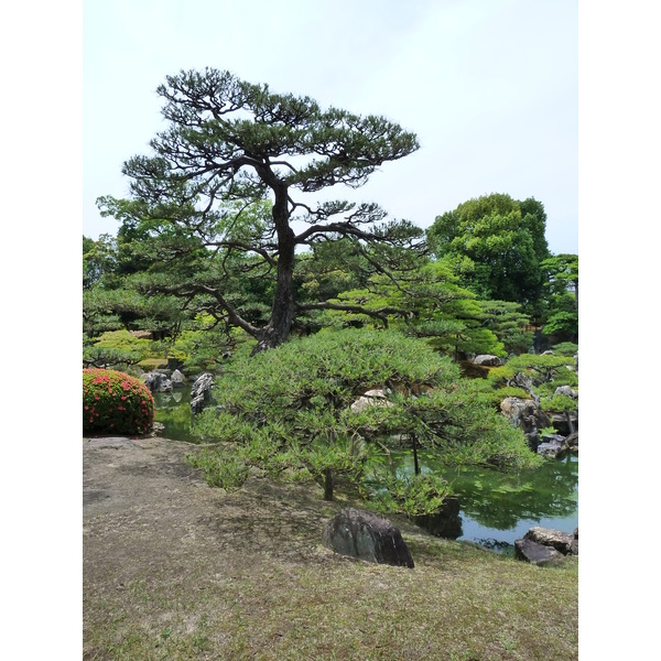 Picture Japan Kyoto Nijo Castle Ninomaru Garden 2010-06 22 - History Ninomaru Garden