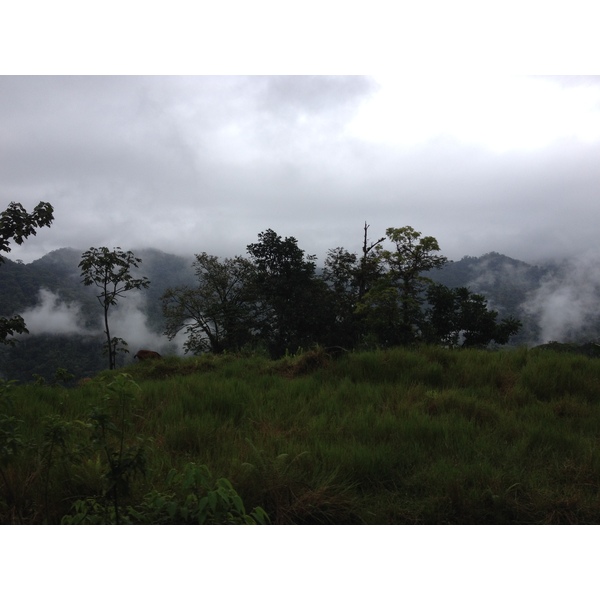 Picture Panama David to Bocas del toro 2015-03 57 - Journey David to Bocas del toro