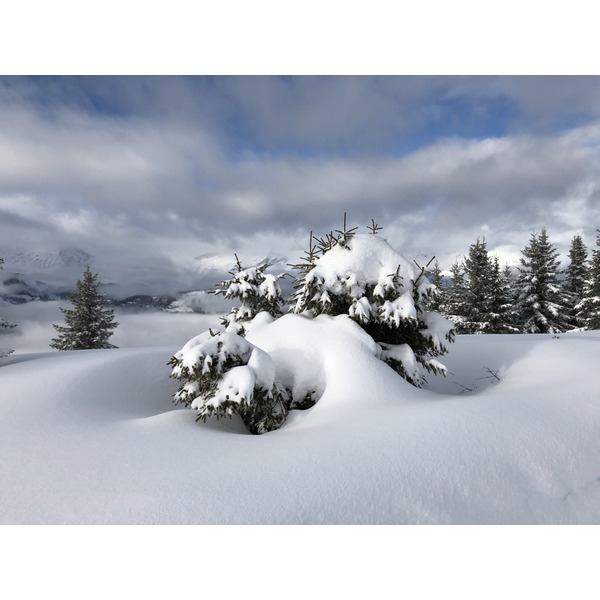 Picture France Praz sur Arly 2019-12 213 - Around Praz sur Arly