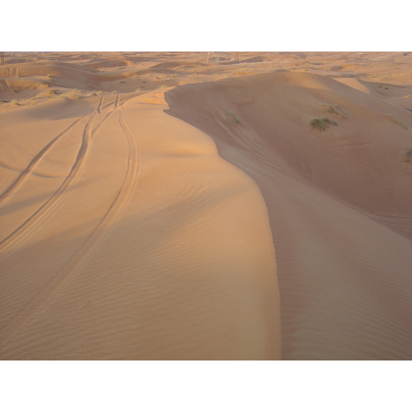 Picture United Arab Emirates Al Ain Desert 2005-11 7 - Around Desert