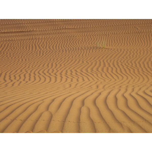 Picture United Arab Emirates Al Ain Desert 2005-11 4 - Center Desert