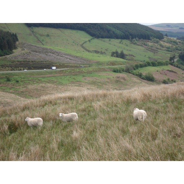 Picture United Kingdom Brecon Beacons National Parc 2006-05 92 - Tour Brecon Beacons National Parc