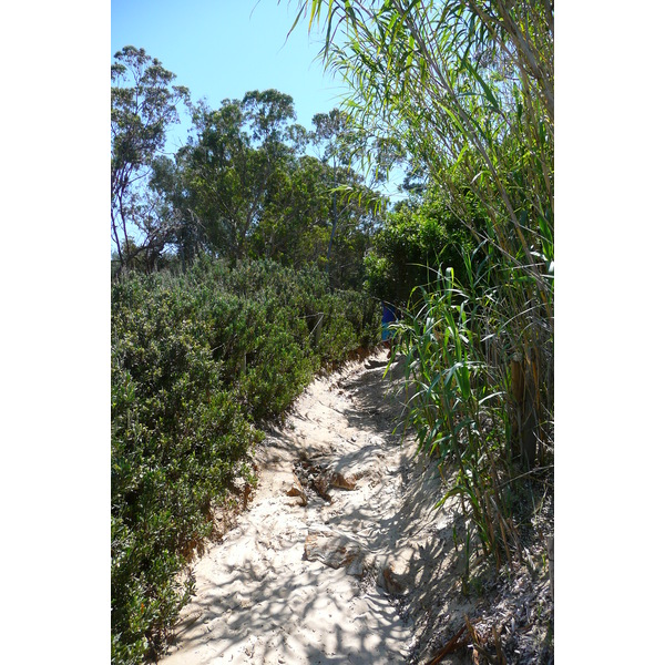 Picture France Porquerolles Island Courtade beach 2008-05 13 - Tours Courtade beach