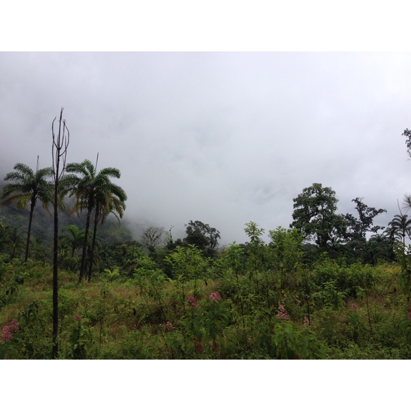 Picture Panama David to Bocas del toro 2015-03 72 - Discovery David to Bocas del toro