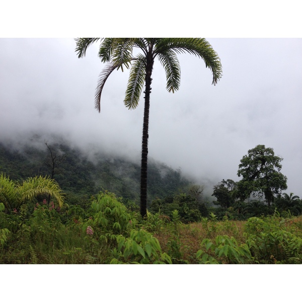 Picture Panama David to Bocas del toro 2015-03 84 - Journey David to Bocas del toro