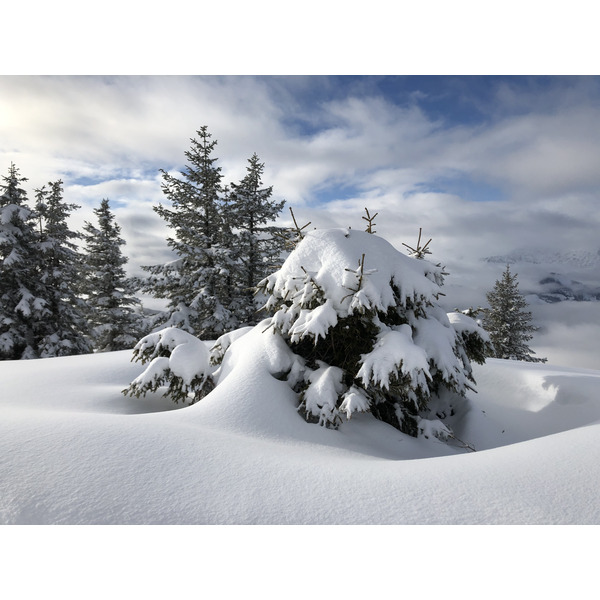 Picture France Praz sur Arly 2019-12 271 - Journey Praz sur Arly