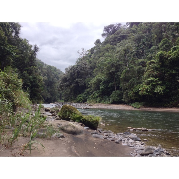 Picture Costa Rica Pacuare River 2015-03 152 - Around Pacuare River