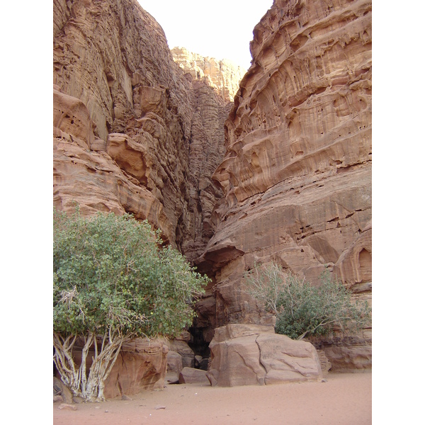 Picture Jordan Wadi Rum Desert 2004-10 7 - Center Wadi Rum Desert