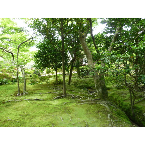 Picture Japan Kyoto Ginkakuji Temple(Silver Pavilion) 2010-06 42 - Discovery Ginkakuji Temple(Silver Pavilion)